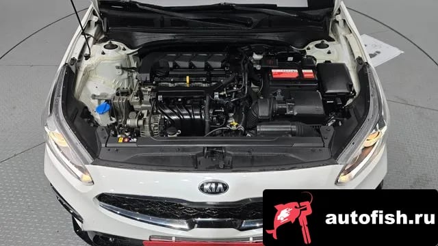 Kia K3 Come New K3 2018 года - вид 6