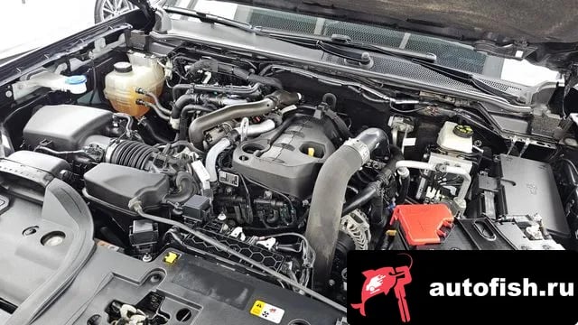 Ford Ranger Ranger 4th Generation 2024 года - вид 6