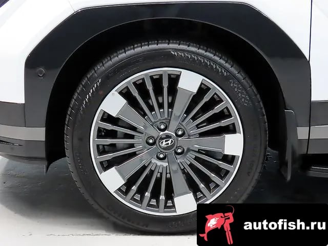 Hyundai Santafe San Tafe (MX5) 2025 года - вид 5
