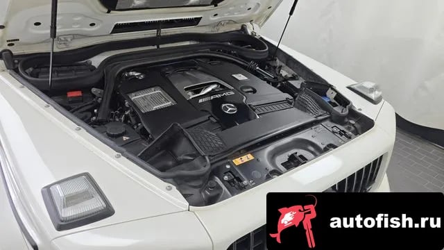 Mercedes-Benz G-Class G-Class W463b 2021 года - вид 6