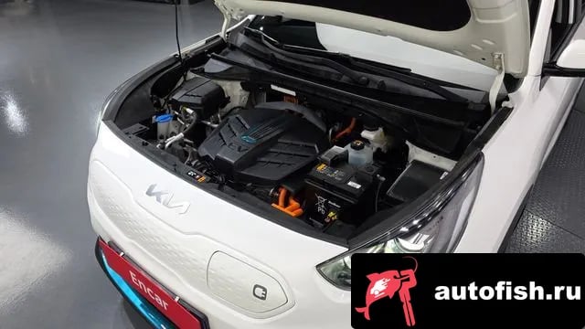Kia Niro Niro EV 2021 года - вид 6