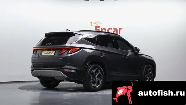 Hyundai Tucson Tucson (NX4) 2023 года - вид 2
