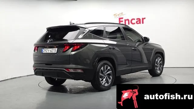 Hyundai Tucson Tucson Hybrid (NX4) 2023 года - вид 2