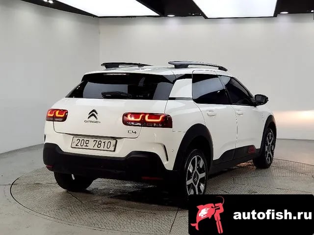 Citroen-DS C4 CACTUS C4 Cactus 2019 года - вид 4