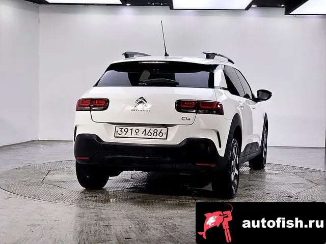 Citroen-DS C4 CACTUS C4 Cactus 2019 года - вид 3