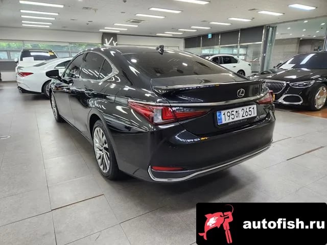 Lexus ES ES300h 7th generation 2023 года - вид 2