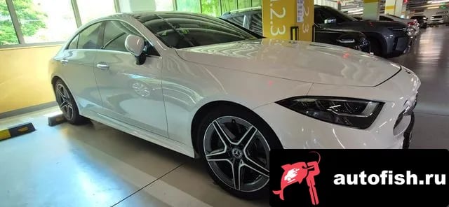 Mercedes-Benz CLS-Class CLS-Class C257 2020 года - вид 2
