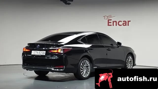 Lexus ES ES300h 7th generation 2021 года - вид 1