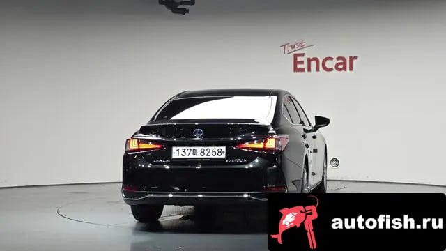 Lexus ES ES300h 7th generation 2021 года - похожие автомобили