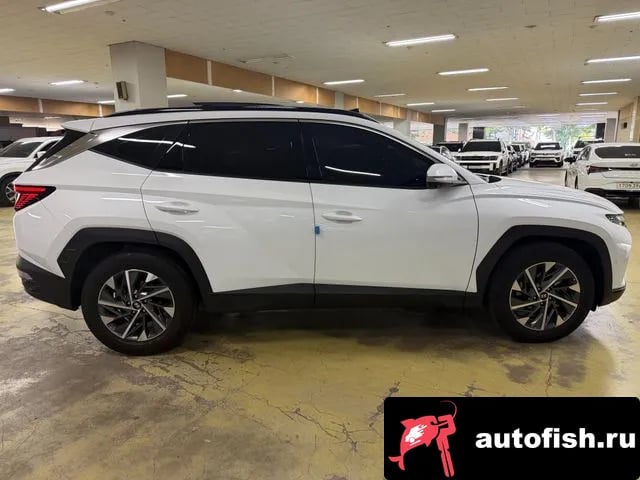 Hyundai Tucson The New Tucson Hybrid (NX4) 2023 года - вид 5
