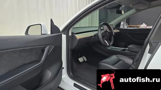 Tesla Model Y Model Y 2021 года - похожие автомобили
