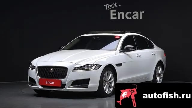 Jaguar XF XF (X260) 2019 года - вид 1