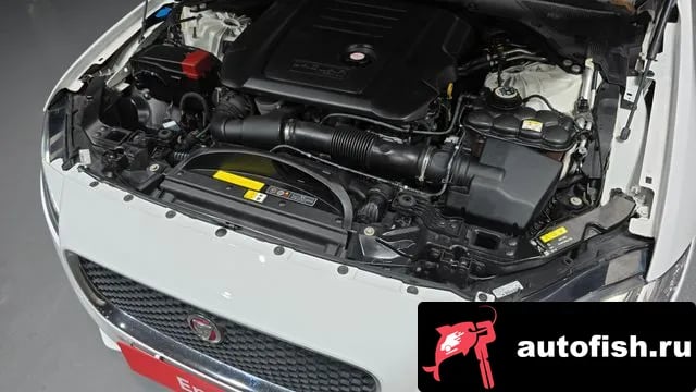 Jaguar XF XF (X260) 2019 года - вид 6
