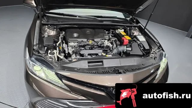 Toyota Camry Camry (XV70) 2019 года - вид 6