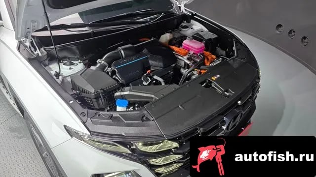 Hyundai Tucson The New Tucson Hybrid (NX4) 2024 года - вид 6