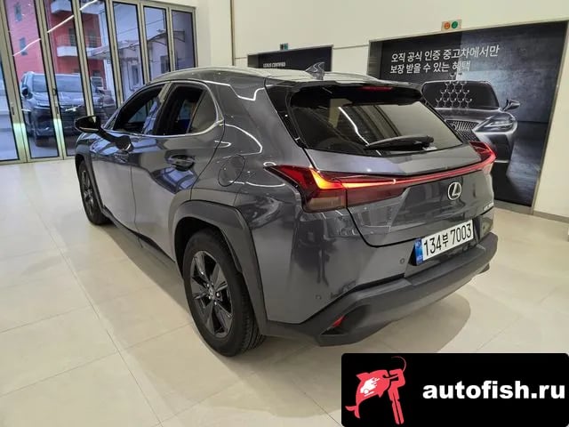 Lexus UX UX300h 2025 года - похожие автомобили