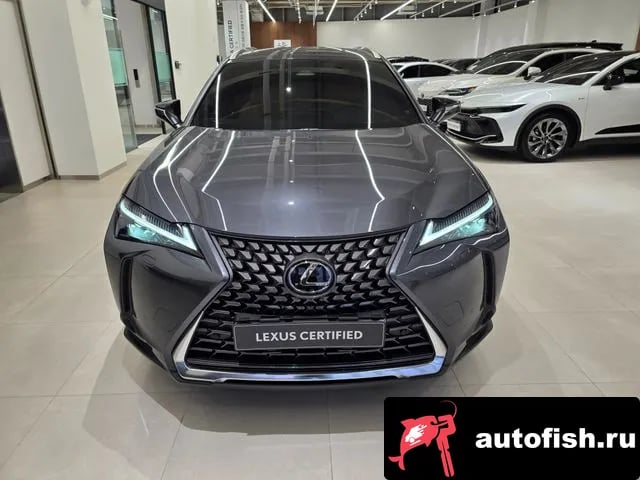 Lexus UX UX300h 2025 года - вид 3