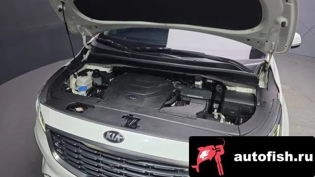 Kia Carnival The New Carnival 2019 года - вид 6