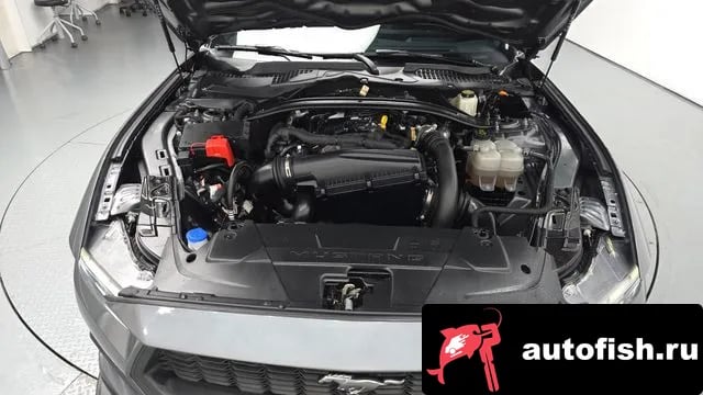 Ford Mustang Mustang 7th Generation 2024 года - вид 6