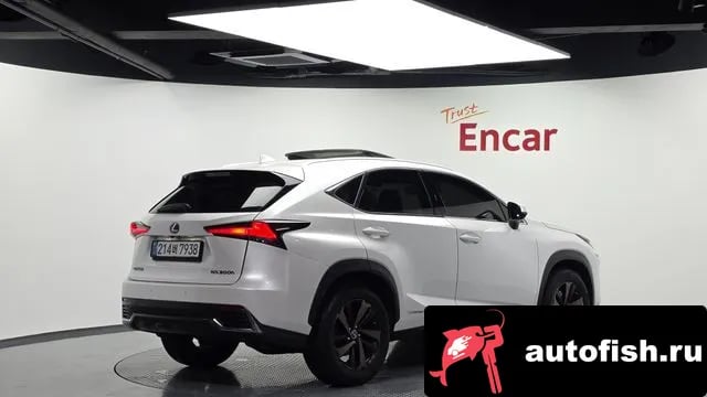 Lexus NX NX300h 2019 года - вид 2
