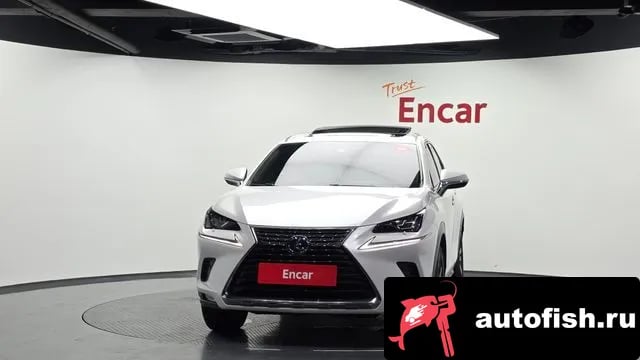 Lexus NX NX300h 2019 года - вид 3