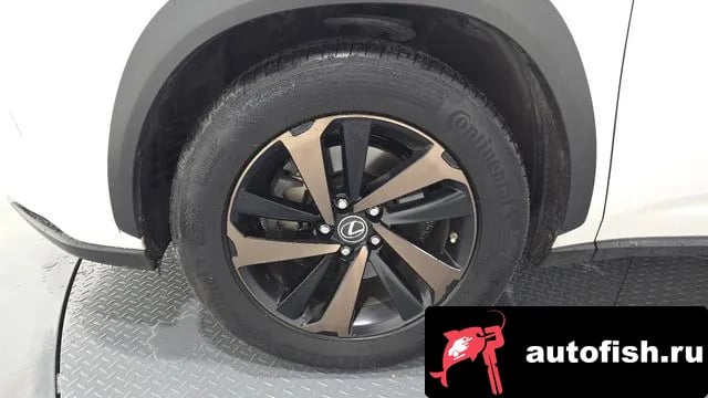 Lexus NX NX300h 2019 года - вид 5