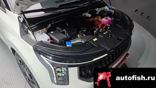 Kia Carnival The New Carnival 4th Generation 2025 года - вид 6