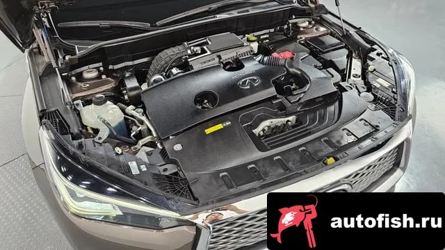 Infiniti QX50 QX50 (P71A) 2019 года - вид 6