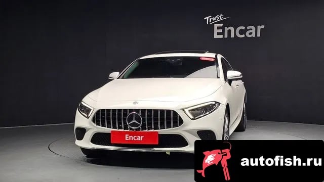 Mercedes-Benz CLS-Class CLS-Class C257 2019 года - вид 2