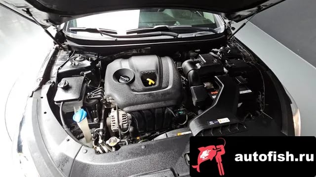 Hyundai Sonata Sonata New Rise 2018 года - вид 6