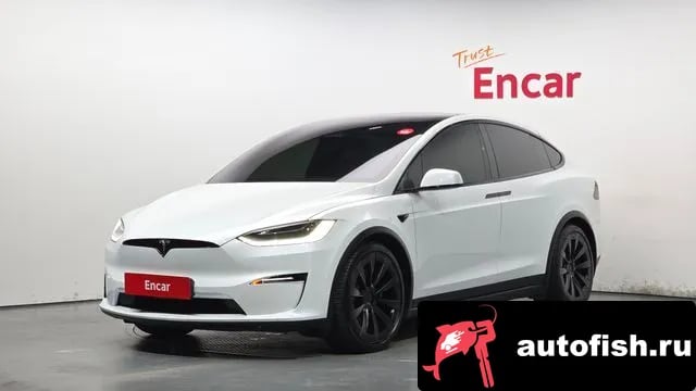 Tesla Model X Model X 2023 года - автомобиль из Южной Кореи