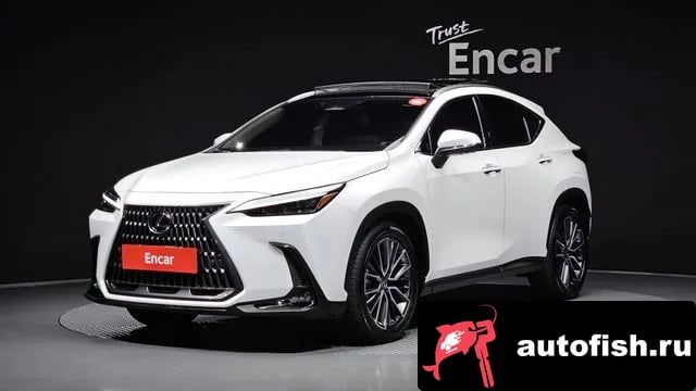 Lexus NX NX350h Second generation 2024 года - вид 1