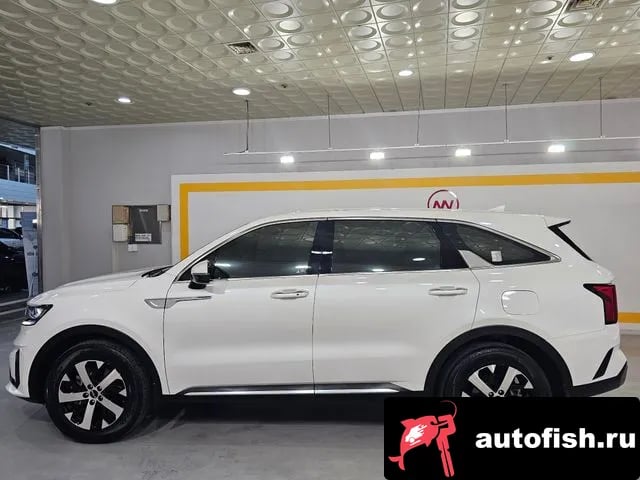 Kia Sorento Sorento 4th Generation 2023 года - вид 4