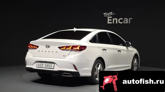 Hyundai Sonata Sonata New Rise 2018 года - вид 2