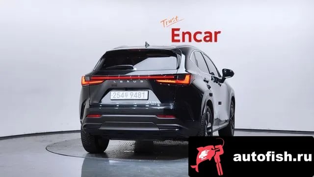 Lexus NX NX350h Second generation 2023 года - вид 4