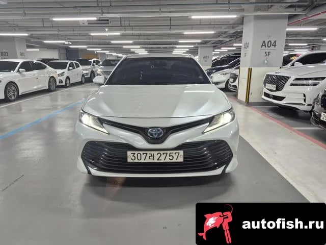 Toyota Camry Camry (XV70) 2019 года - вид 1