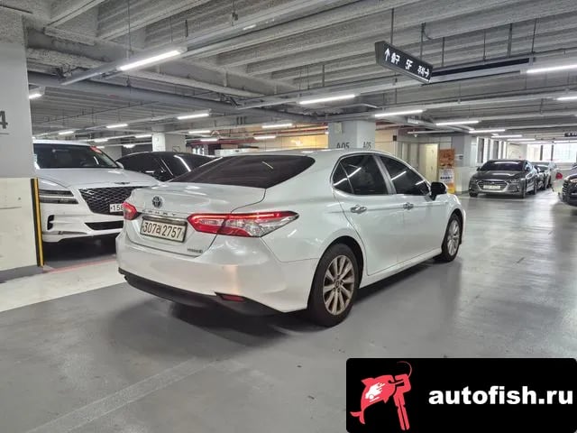 Toyota Camry Camry (XV70) 2019 года - вид 4