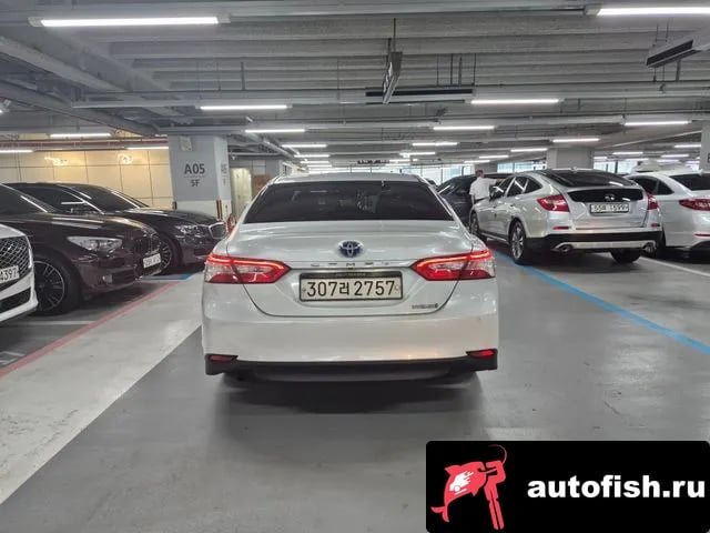 Toyota Camry Camry (XV70) 2019 года - вид 5