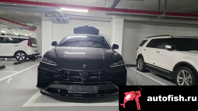 Lamborghini Urus Urus 2026 года - похожие автомобили