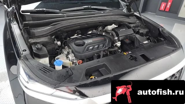 Hyundai Santafe San Tafe TM 2019 года - вид 6