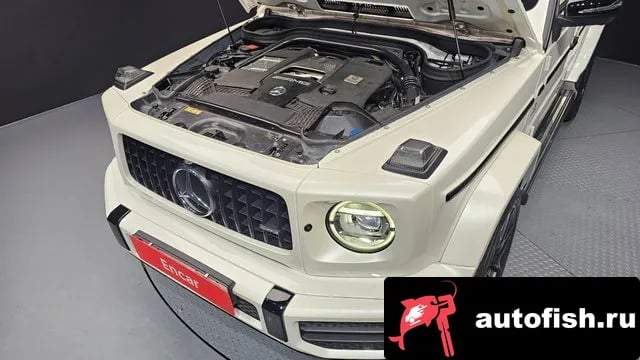 Mercedes-Benz G-Class G-Class W463b 2021 года - вид 6
