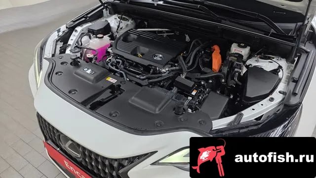 Lexus NX NX350h Second generation 2024 года - вид 5