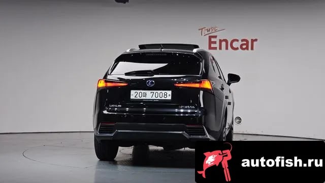Lexus NX NX300h 2019 года - вид 3