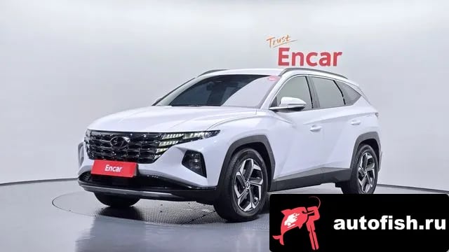 Hyundai Tucson Tucson (NX4) 2023 года - вид 1