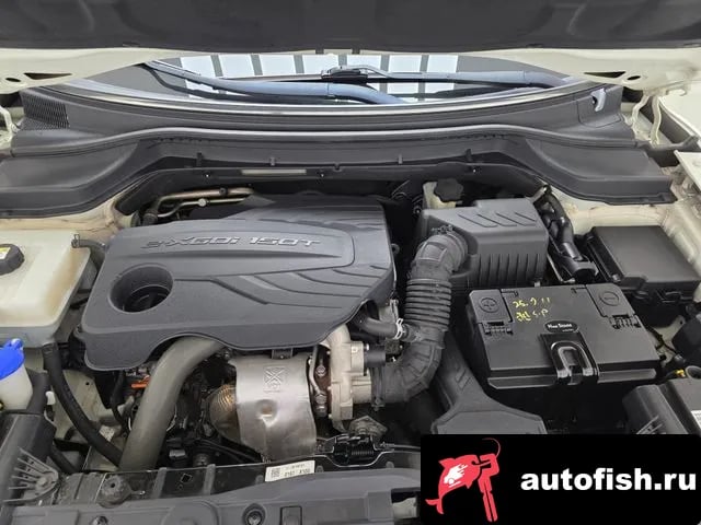 KG Mobility (Ssangyong) TIBOLI Berry New Tivoli 2019 года - вид 6