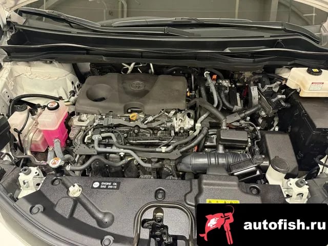 Toyota Sienna Siena 4th Generation 2023 года - вид 6