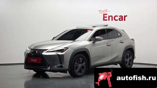 Lexus UX UX250h 2020 года - вид 1