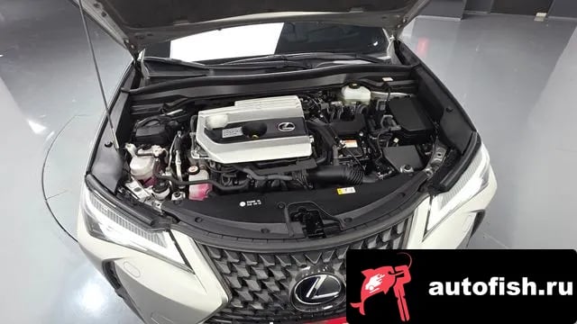 Lexus UX UX250h 2020 года - вид 6
