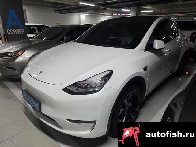 Tesla Model Y Model Y 2021 года - похожие автомобили