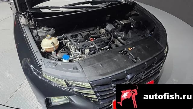 Hyundai Tucson Tucson (NX4) 2021 года - вид 6